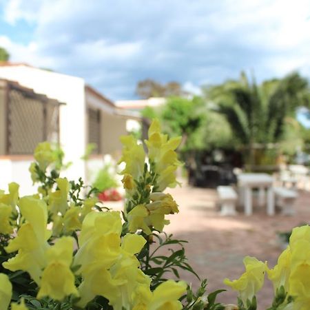 Residence Rendez Vous Vieste Ngoại thất bức ảnh