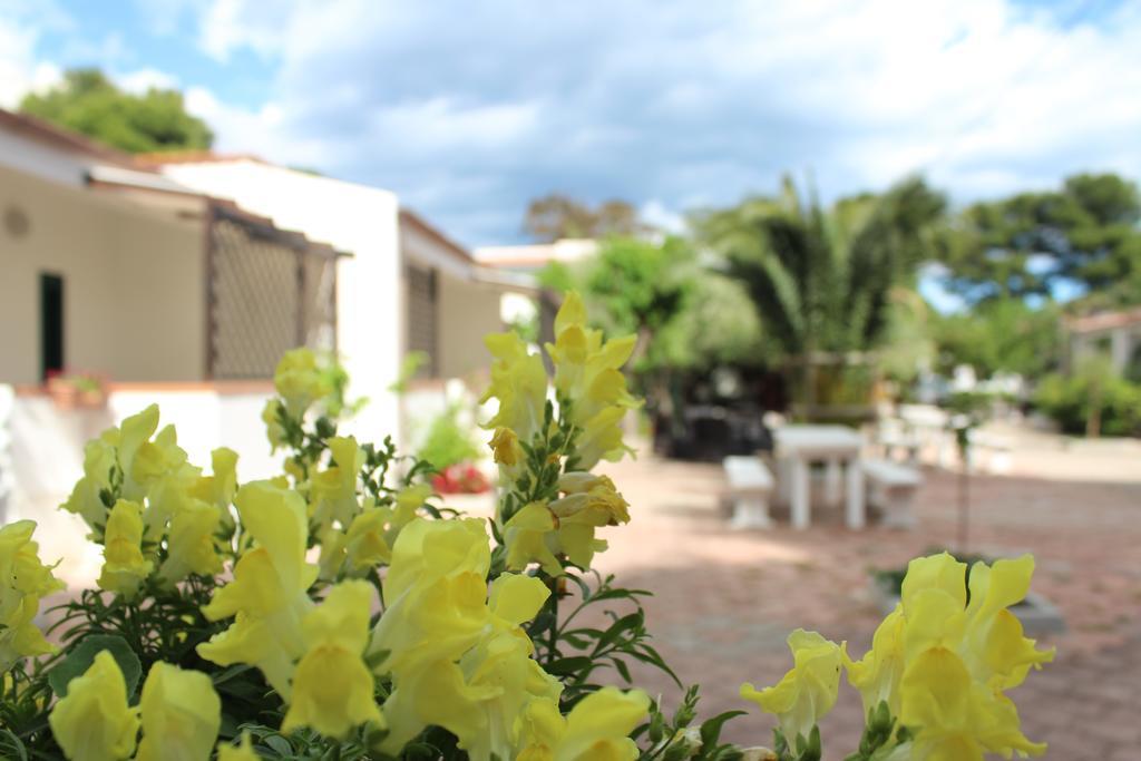 Residence Rendez Vous Vieste Ngoại thất bức ảnh